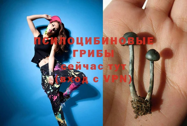 герыч Магас