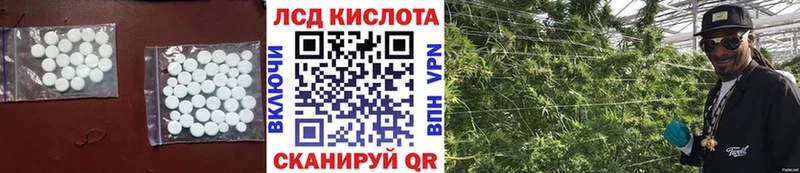mega ссылка  Бердск  ЛСД экстази ecstasy 