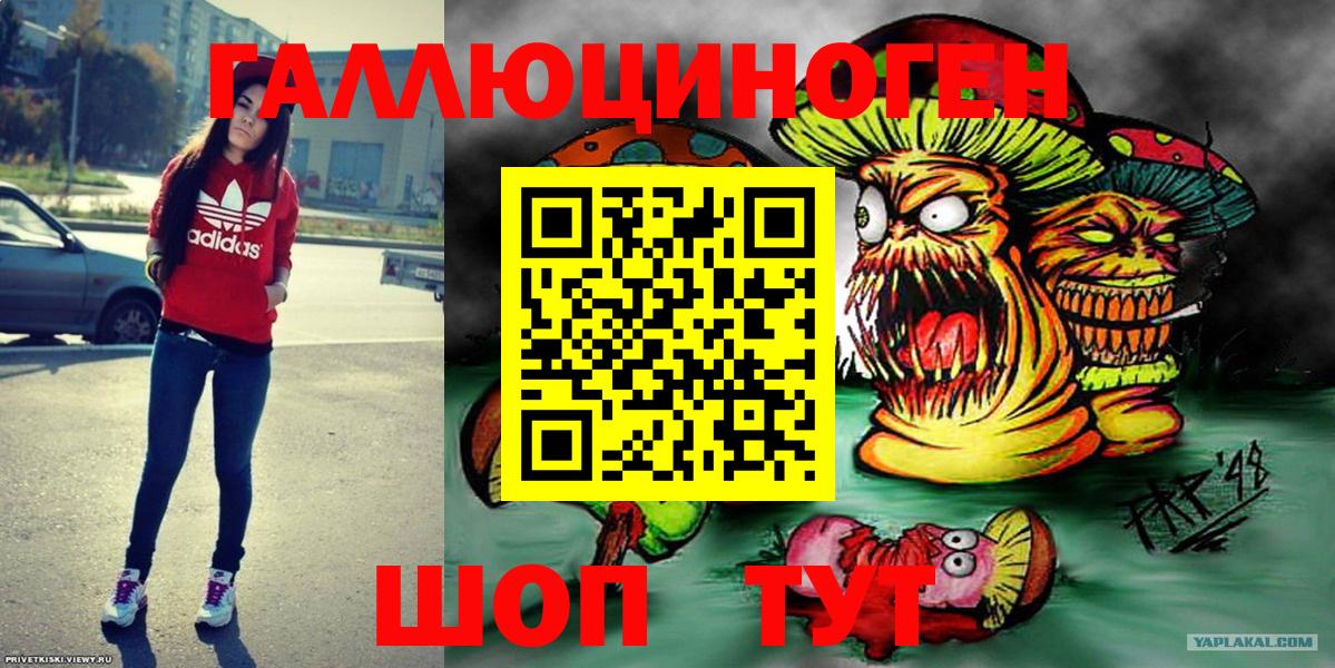 Бердск  Галлюциногенные грибы Magic Shrooms  Вход с VPN 