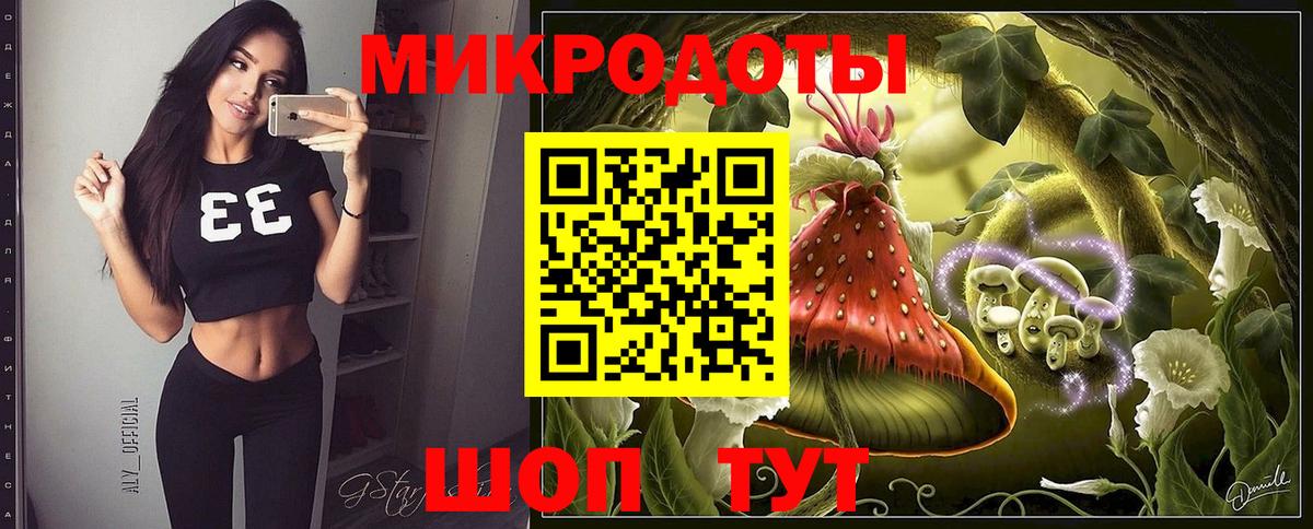 Галлюциногенные грибы Psilocybine cubensis Бердск