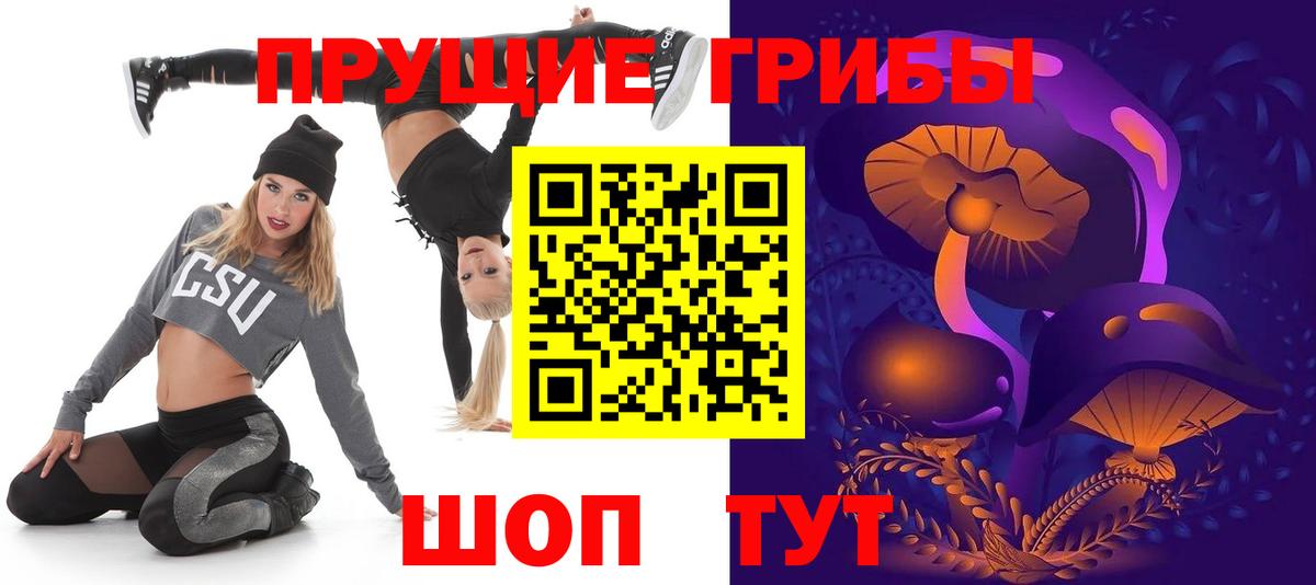 даркнет сайт  Галлюциногенные грибы GOLDEN TEACHER  Бердск  Псилоцибиновые грибы GOLDEN TEACHER 